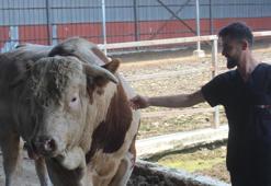 Onu gören şaşırıyor! İkinci el otomobil fiyatına alıcısını bekliyor