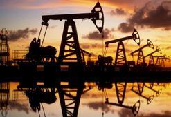 Karadeniz’in iki ilinde petrol ve doğal gaz müjdesi! Sismik çalışmalara başlanıyor