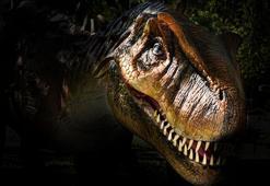 99 milyon yıllık dinozor bulundu! Janus’un ismi verildi, işte sebebi