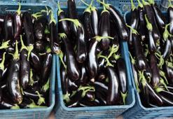 Kilosu 2 lira olan patlıcanın fiyatı market rafında 9’a katladı