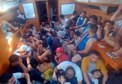 Bodrum'da 86 kaçak göçmen yakalandı