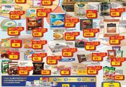 ŞOK 14-20 Haziran aktüel katalog 2023 yayınlandı! Sakal makinesi 99 TL, akıllı bileklik 199 TL! Babalar Günü sürpriz var