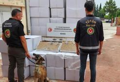 Adana'da 1 milyon 662 bin TL değerinde kaçak sigara ele geçirildi