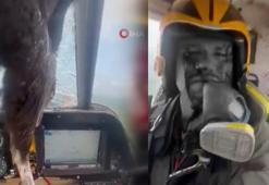 Uçağa çarpan kuş kokpite girdi, pilot kanlar içinde kaldı