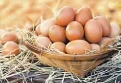 Yumurta Kaç Kalori? Yumurta Besin Değerleri Ve Kalorisi...