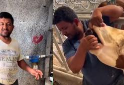 İneğe içki şişesinde sıvı içiren çiftlik çalışanı tutuklandı