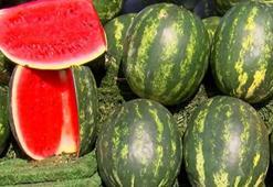 Serin giden hava, karpuzun fiyatını 1 liraya kadar düşürdü