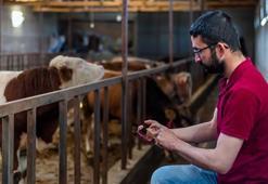 Kurban Bayramında et tüketimine dikkat! 24 saat uyarısı geldi