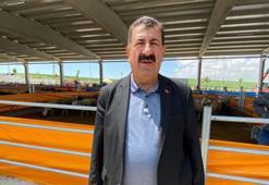 Kurban bağışında 'sahte dernek' uyarısı: Bu paraya ancak hindi alıp kesebilirsiniz