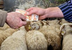 Hem alıcılar hem de satıcılar tehlikede! Kurban sürecinde bu iki sahteciliğe dikkat