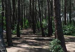 İstanbul Valiliği duyurdu! Ormanlık alanlara girişler 15 Ekim'e kadar yasaklandı