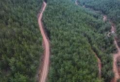 Belgrad ormanında mangal yasak mı 2023, mangal yapmak yasaklandı mı 2023? Bayramda mangal yasak mı?