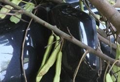 Arabasını park edip denize gitti! Döndüğünde gözlerine inanamadı