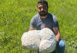 Bulduğunda kaya sandı, ne olduğunu anlayınca şok oldu