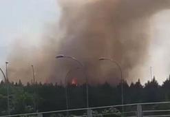 Diyarbakır Havalimanı yanındaki ormanda yangın