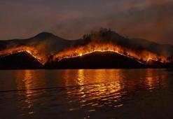 Dünya Kaynakları Enstitüsü: Yağmur ormanlarının yok olma oranı yüzde 10 arttı