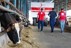 Türk Kızılay, kurban kesimlerini başlattı