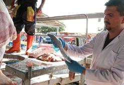 İl Tarım Ve Orman Müdürü Karaca'dan kurban kesenlere uyarı