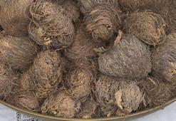 Meryem Ana Otu Nedir? Meryem Ana Otu Faydaları Nelerdir?