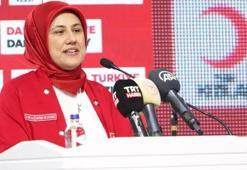 Kızılay Başkanı Fatma Meriç Yılmaz nereli, kaç yaşında? Fatma Meriç Yılmaz nerelerde görev yaptı?