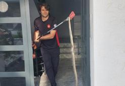 Apartmanın içine giren 3 buçuk metrelik yılan yakalandı
