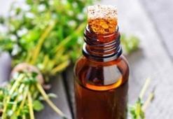 Kekik Yağı Nasıl Kullanılır? Kekik Yağı Kullanırken Yapılması Gerekenler...