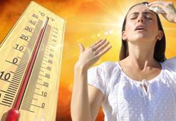 Rekor sıcaklıklar için soğuk formül! Bakanlık düğmeye bastı
