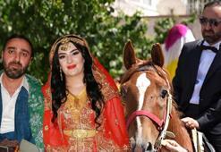 Aşiret düğününde dudak uçuklatan takı! 15 kişi tam 4 saatte sayabildi