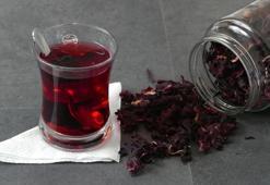 Ebegümeci Otu Nedir? Ebegümeci Otu Faydaları Nelerdir?