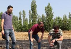 Gizemli yangının nedeni ortaya çıktı! 60 dönüm tarım arazisi kül olmuştu