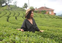 Karadeniz'in 'Yeşil altını'nda ikinci sürgün sezonu açıldı! 'Z kuşağı', çay tarımından uzak
