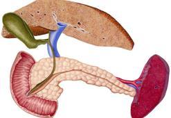 Siroz nedir, neden olur, öldürücü mü? Siroz hastalığının belirtileri, Ufuk Özkan’ın hastalığı siroz nedenleri ve tedavisi
