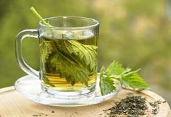 Isırgan Otu Çayı Nedir? Isırgan Otu Çayı Faydaları Nelerdir?