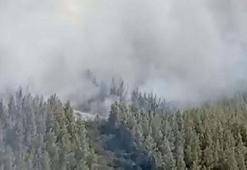 Üç ilden yangın haberleri art arda geldi! Tarım ve Orman Bakanı İbrahim Yumaklı son durumu açıkladı