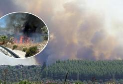 Muğla'daki yangının nedeni ortaya çıktı! Soruşturma başlatıldı