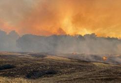 4 ilde orman yangını ile mücadele ediliyor! Bakan Yumaklı son durumu açıkladı