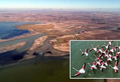 Cumhurbaşkanlığı kararnamesiyle kesin korunacak bölge ilan edilmişti! Bilirkişi raporu: Balık azaldı, çipura yok olmak üzere