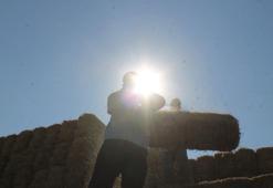 Balya işçilerinin kavurucu sıcakta zorlu mesaisi: Günde bin ila bin 500 TL arası kazanıyorlar