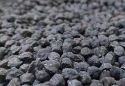 Kilosu 40 lira! Enerji veriyor, vitamin deposu deniyor! Mardin'de keşfedildi