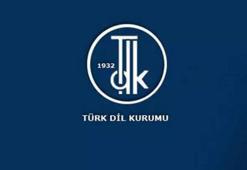 Kayyum nasıl yazılır, TDK’ya göre kayyum mu kayyım mı? TDK kayyum yazımı