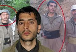MİT'ten PKK'ya nokta operasyon: Özgür Alparslan etkisiz hale getirildi