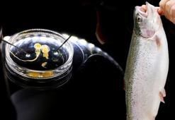 Somondaki tehlike Türkiye'ye sıçrayabilir! Hem kan emiyor hem de toplu ölüme neden oluyor