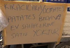 Kirada oturanlara ücretsiz domates dağıtıyor! 'Ev sahiplerine vermiyoruz'