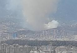 Hatay'daki orman yangını kontrol altında!
