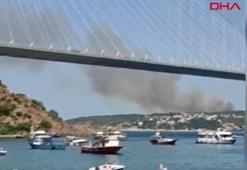 Beykoz'da orman yangını! Ekipler sevk edildi