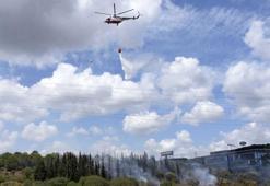 Kağıthane'de TEM Otoyolu kenarında ağaçlarda yangın çıktı