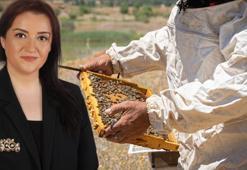 Fırsatçıların yeni hilesi ortaya çıktı: Esmer pirinçten bal! Gıda Güvenliği Denetim Uzmanı açıkladı