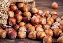 Fındık fiyatı açıklandı mı 2023? Güncel TMO fındık taban fiyatları 2023 ne kadar, 2023 fındık fiyatları ne zaman açıklanacak?