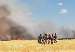 Mardin ve Şanlıurfa’da elektrik dağıtım şirketi personeline saldırı