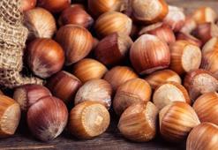 Üreticilerden fındıkta 100 lira beklentisi